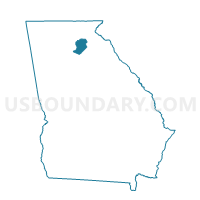Hall County in Georgia